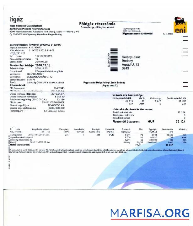 Blank HUNGARY TIGAZ utility bill Word and PDF template